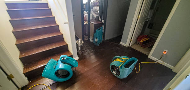  Ten Mile Run, NJ Water damage restoration Pros
