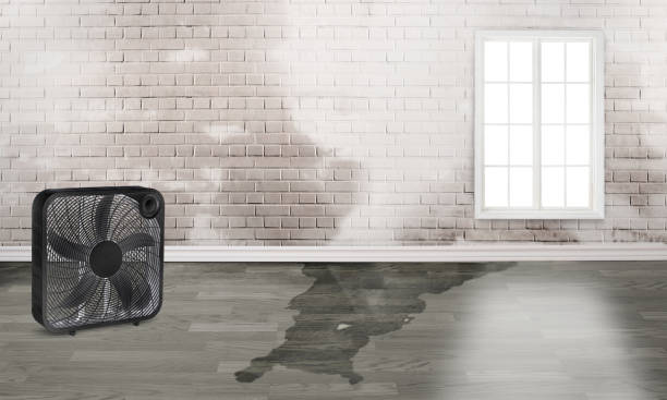 Best 24-hour water damage restoration  in Ten Mile Run, NJ