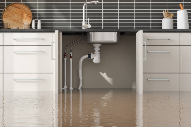 Best Water damage restoration services  in Ten Mile Run, NJ