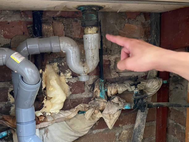 Best Local water damage restoration  in Ten Mile Run, NJ